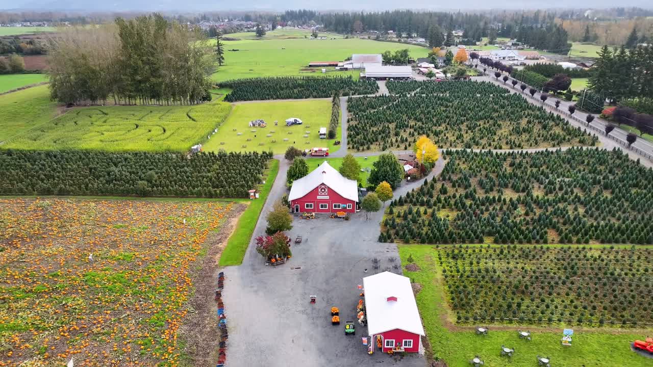 Stoney Ridge Farm — Pumpkin patches