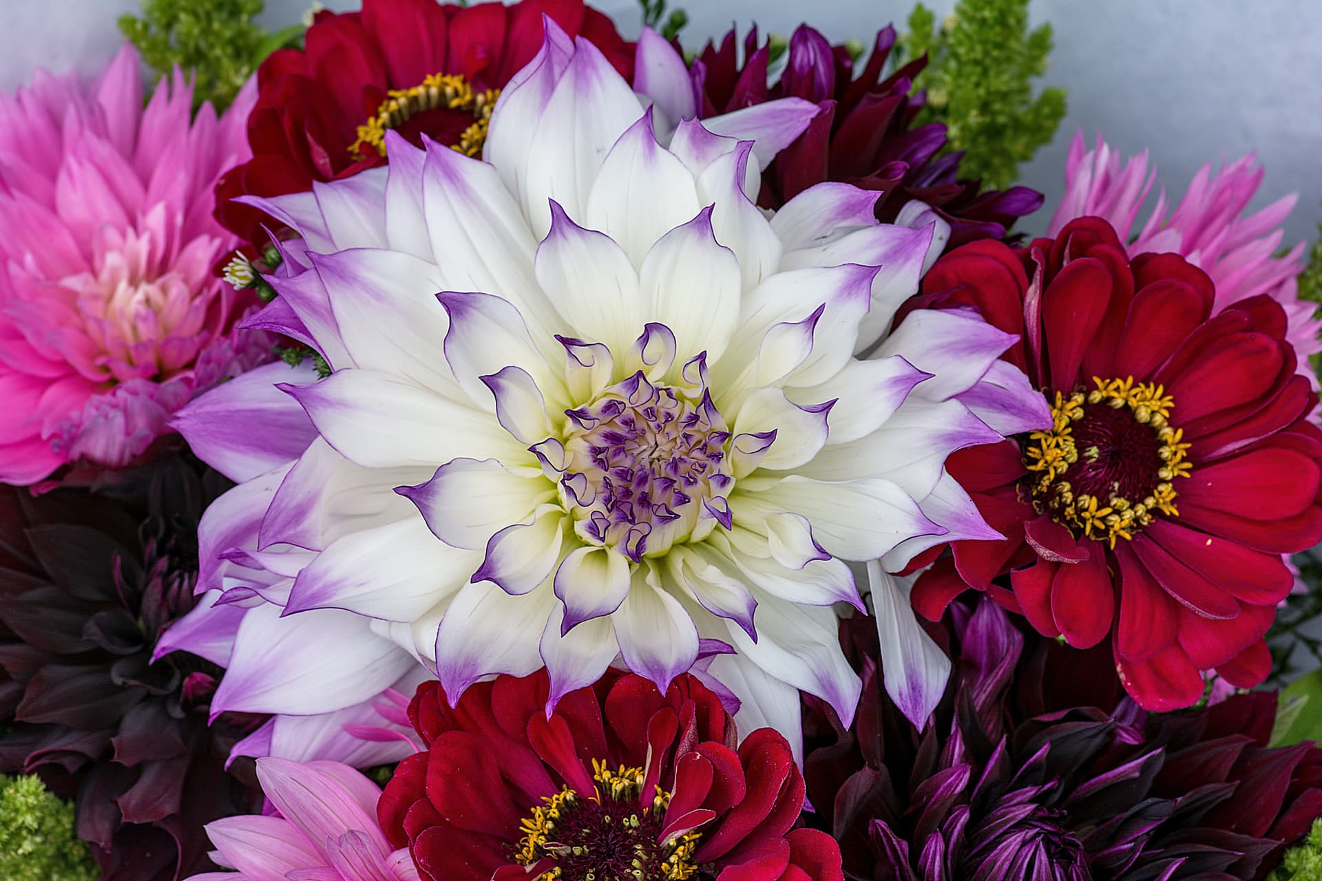 Puyallup Farmers Market — Market
