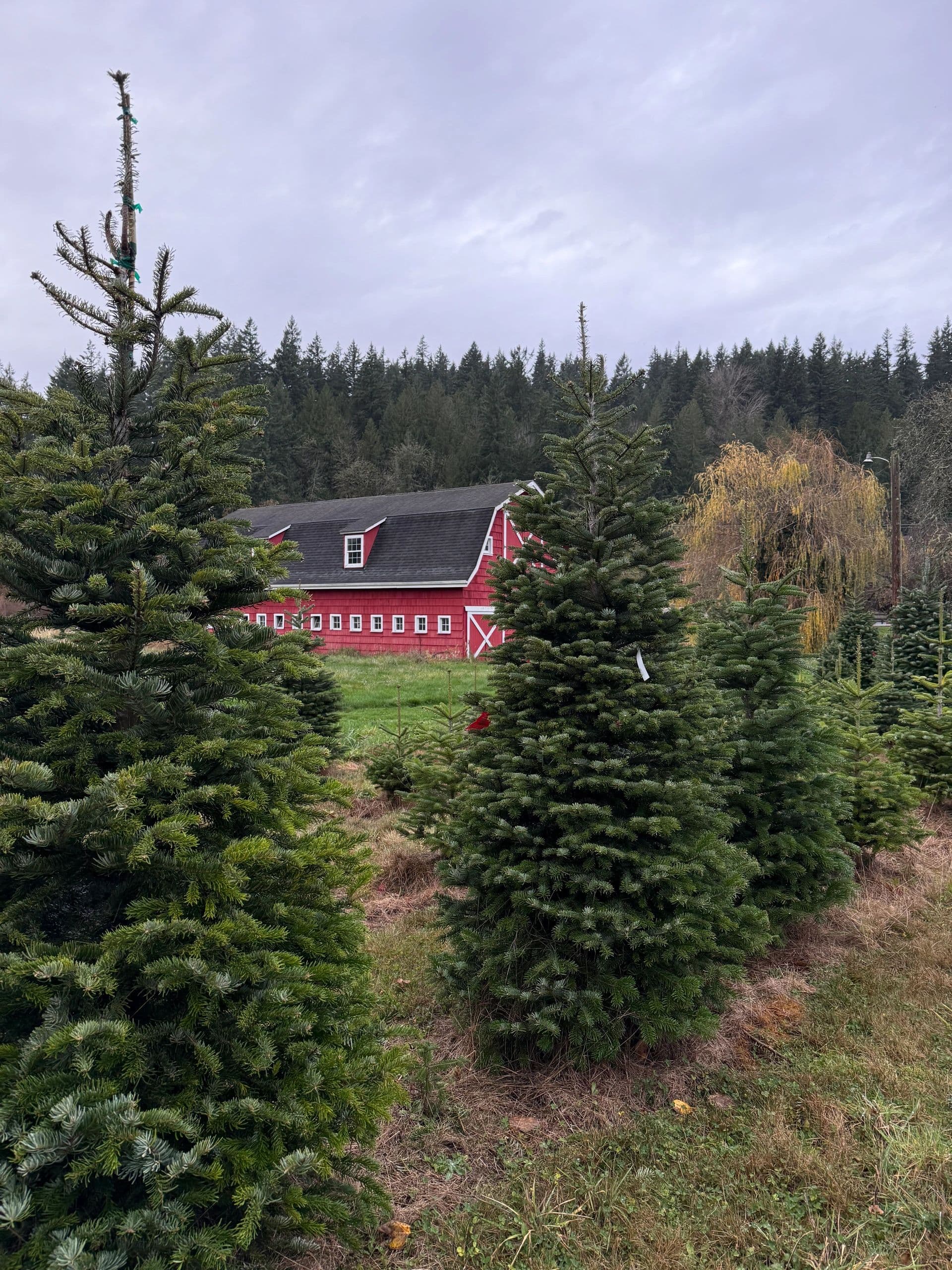 Serres Farm — Pumpkin patches