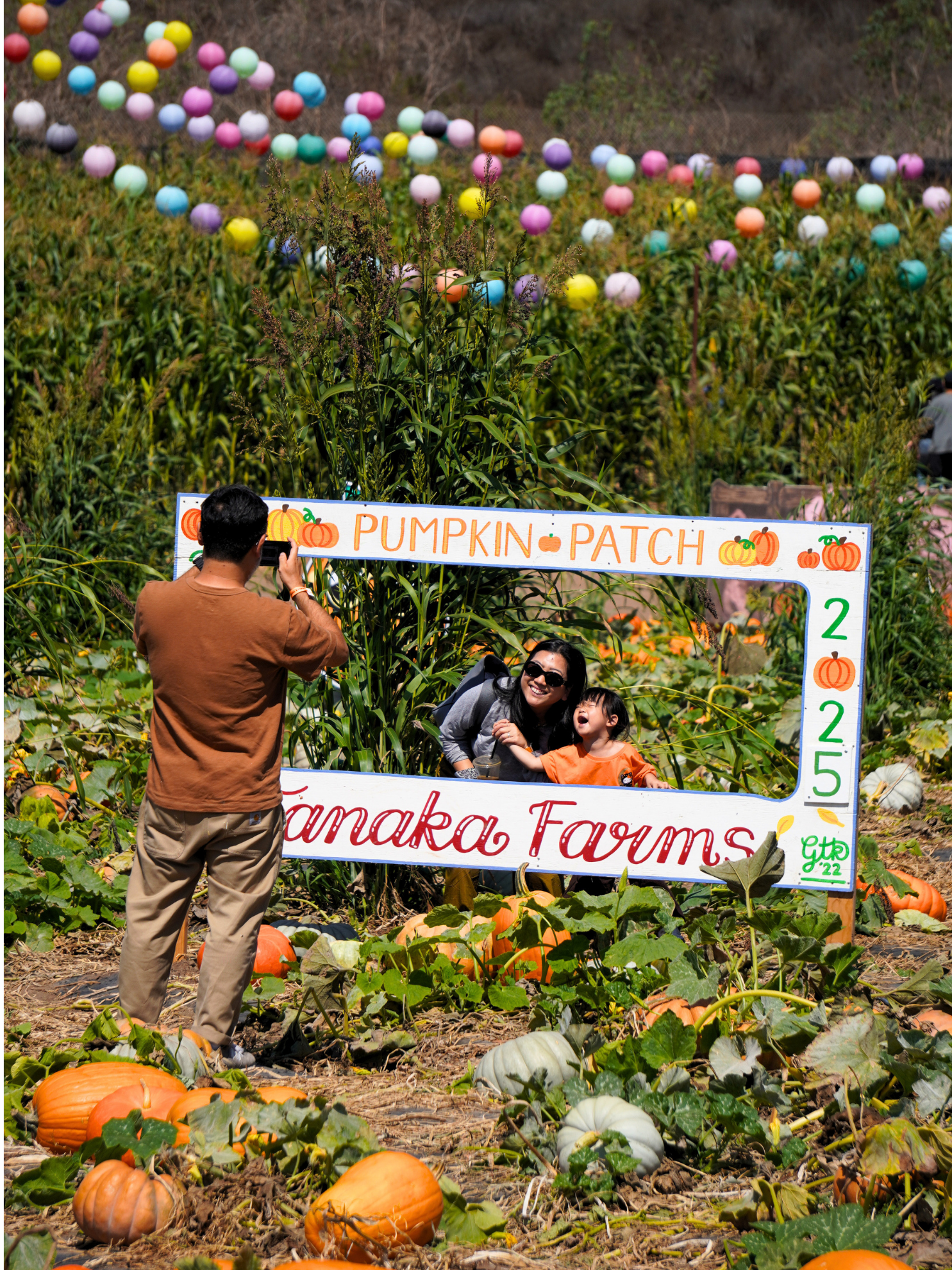 Tanaka Farms Pumpkin Patch — Pumpkin patches