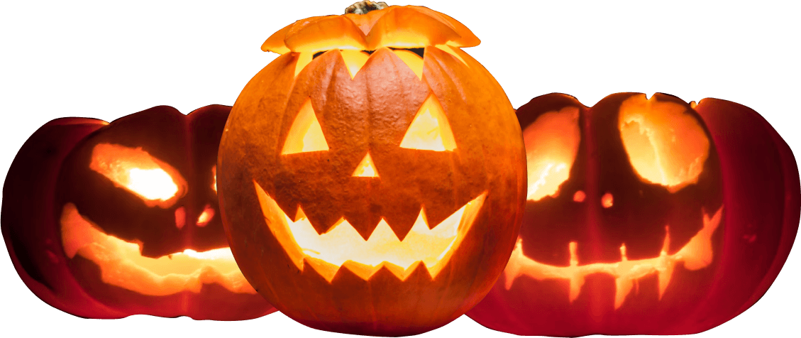 Borchard Farms — Pumpkin patches