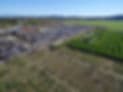 Thomas Family Farm — Pumpkin patches (photo 2)