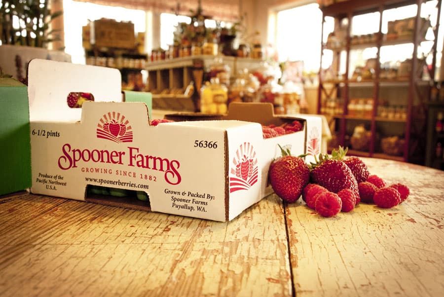 Spooner Farms — Pumpkin patches