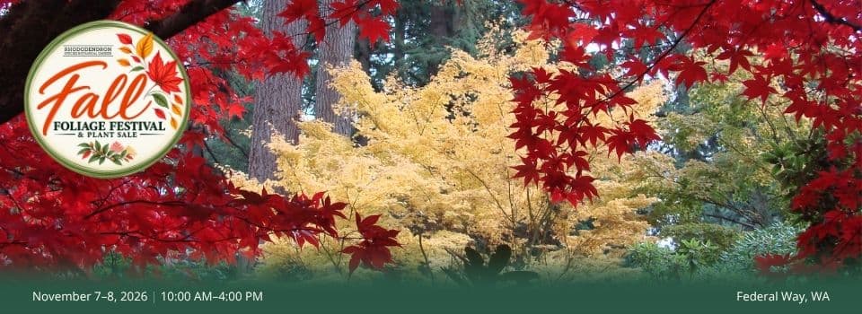 Fall Foliage Festival and Plant Sale — Festival