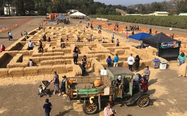 Pumpkin Patch at Limoneira Ranch (Santa Paula Rotary) — Pumpkin patches