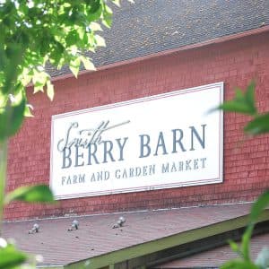 Smith Berry Barn — Pumpkin patches