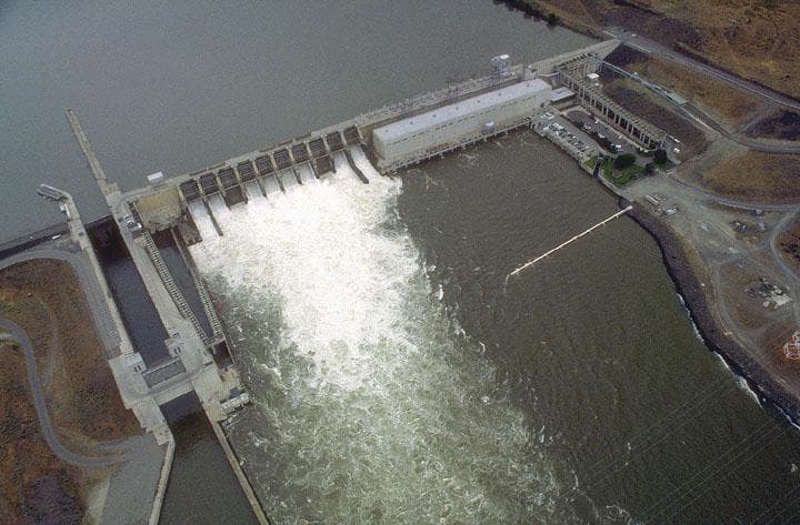 Ice Harbor Dam — Salmon Run