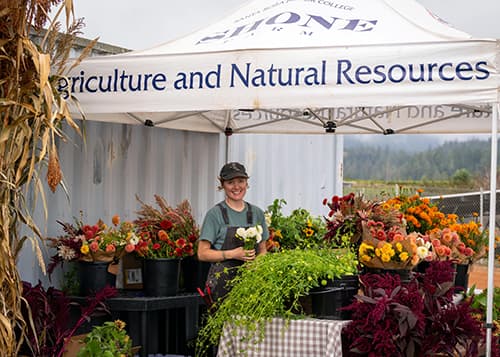 Santa Rosa Junior College Shone Farm Fall Festival — Pumpkin patches