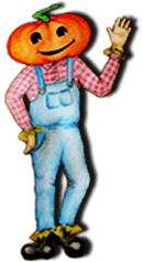 Punky's Pumpkins — Pumpkin patches