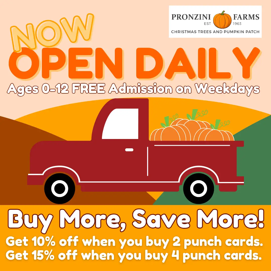 Pronzini Farms Pumpkin Patch — Pumpkin patches