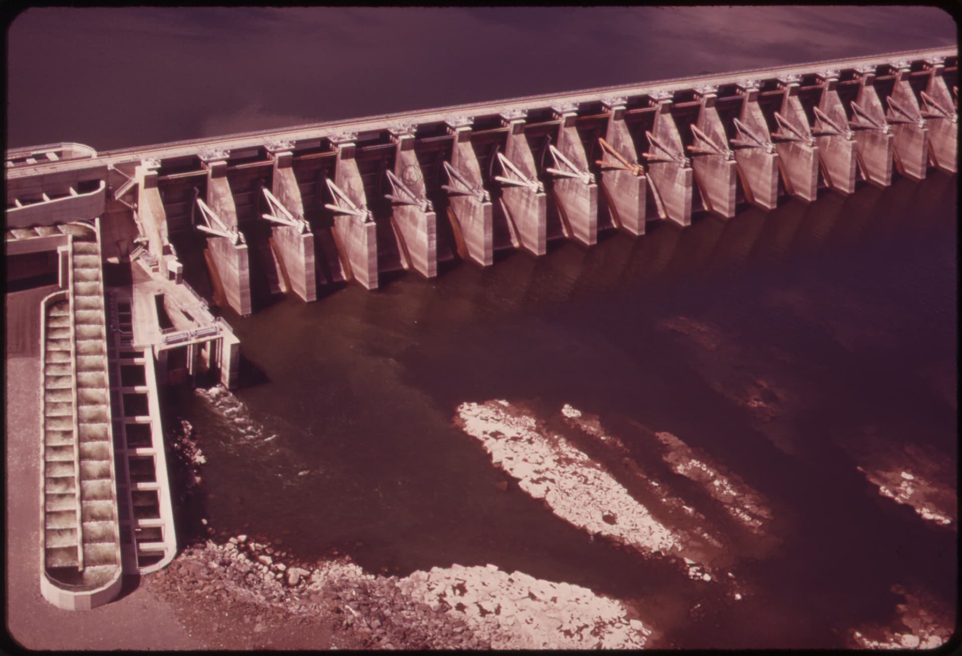 Priest Rapids Dam — Salmon Run