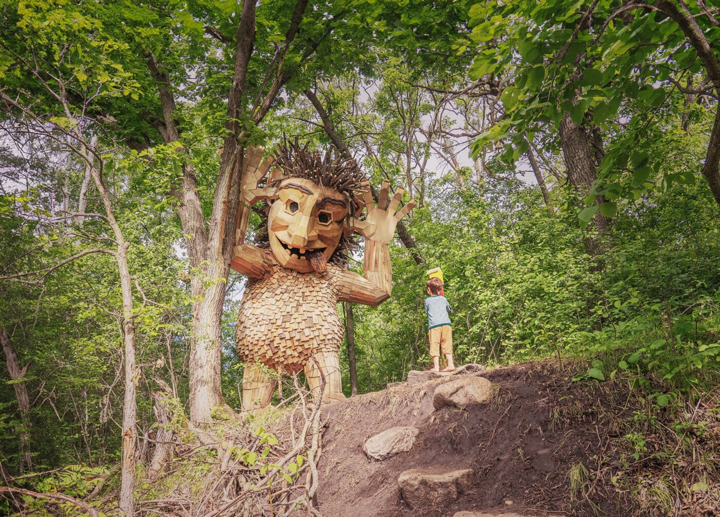 Ronny Funny Face — Trolls