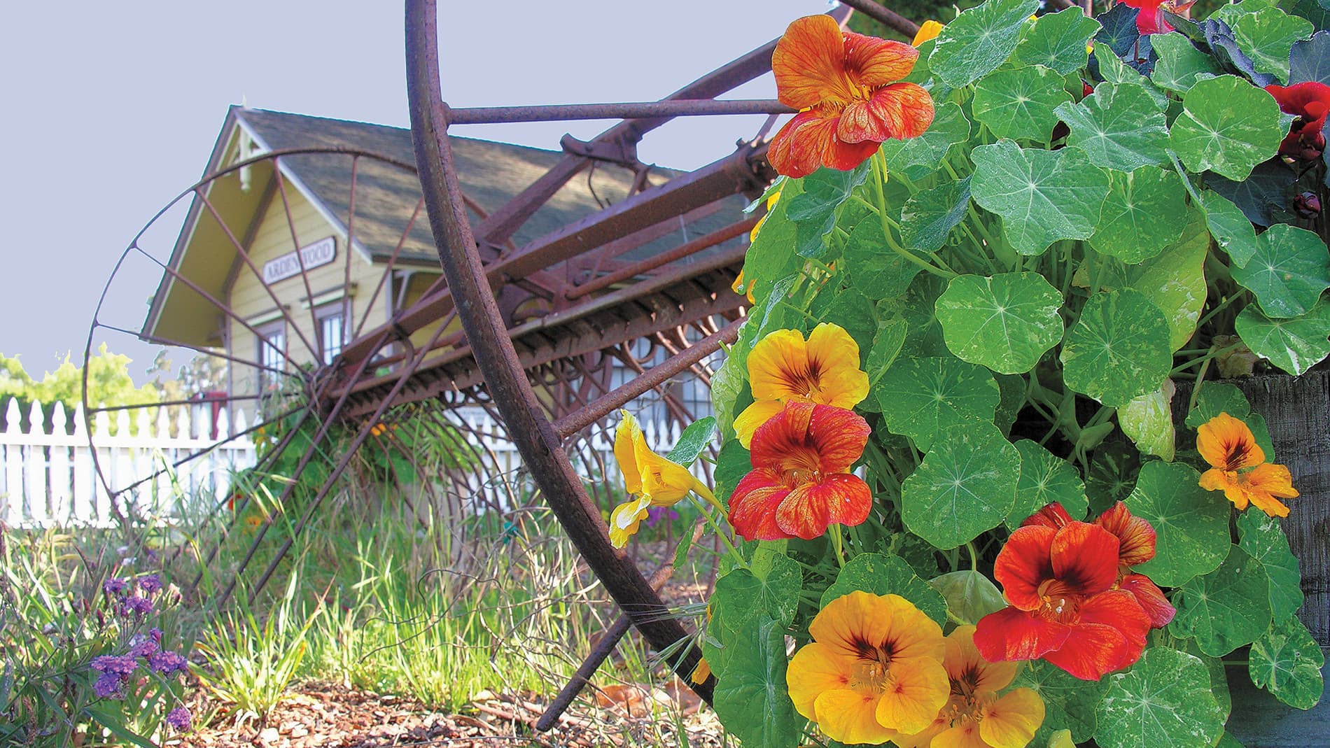 Dig Deep Farms Pumpkin Patch at Ardenwood Historic Farm — Pumpkin patches