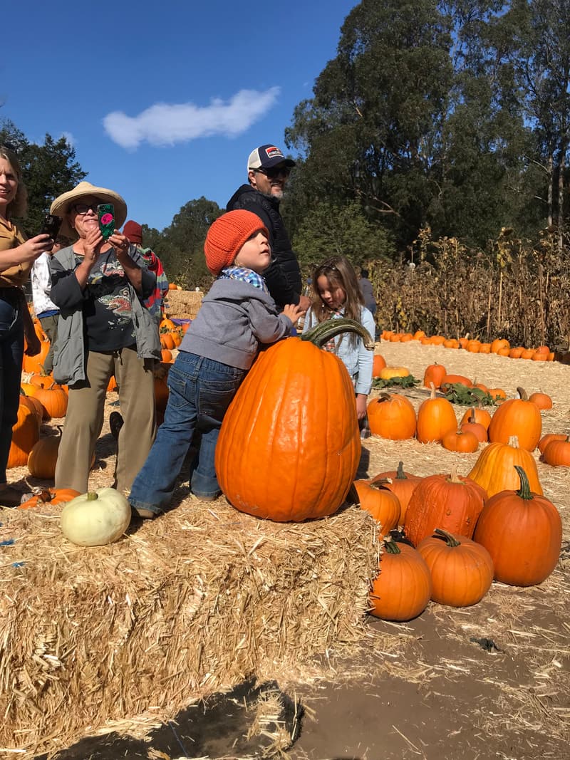 Crystal Bay Farm — Pumpkin patches