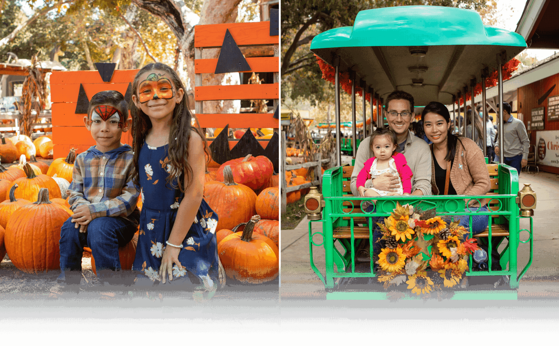 Irvine Park Railroad Pumpkin Patch — Pumpkin patches