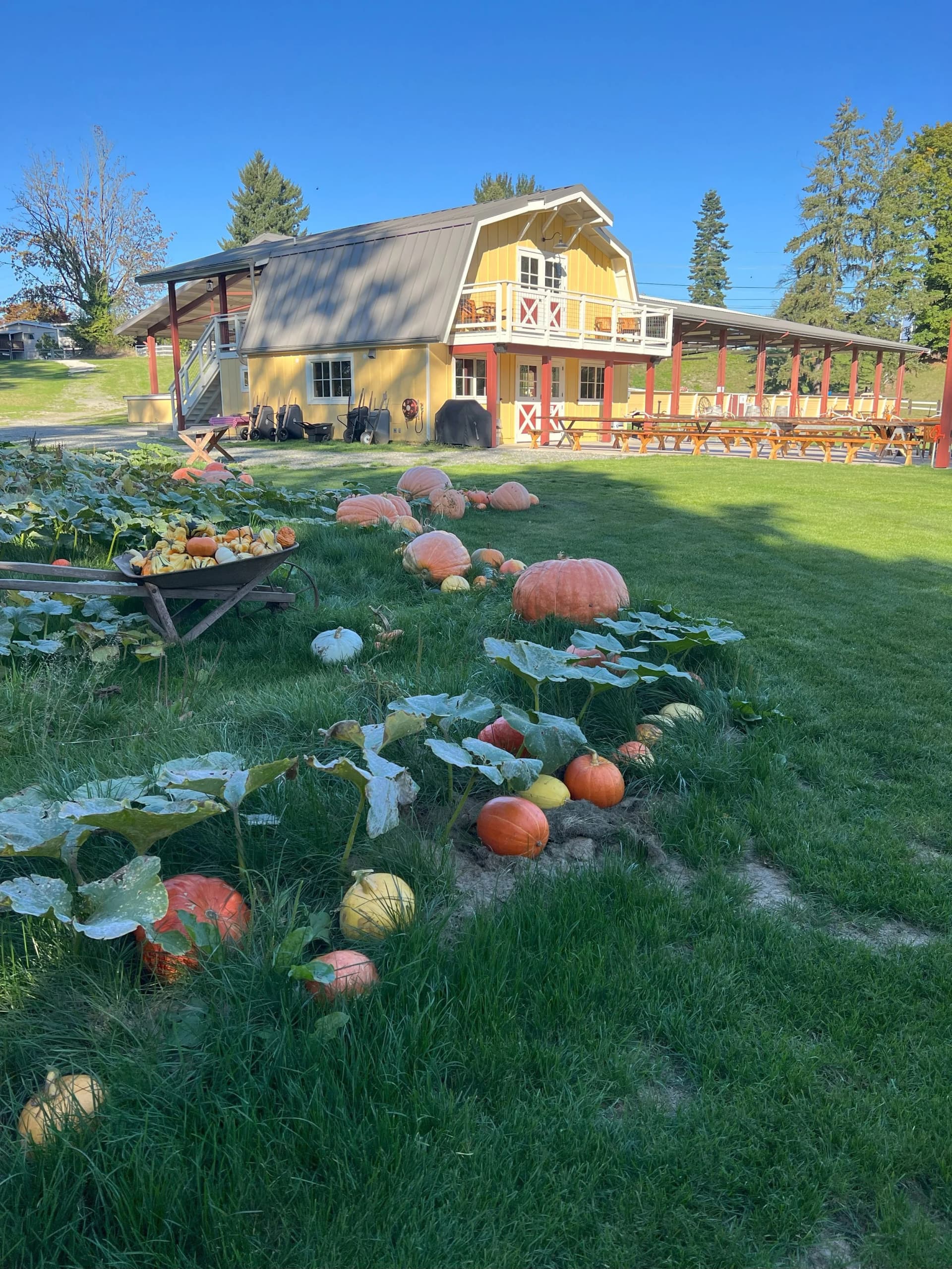 Seattle Farm — Pumpkin patches