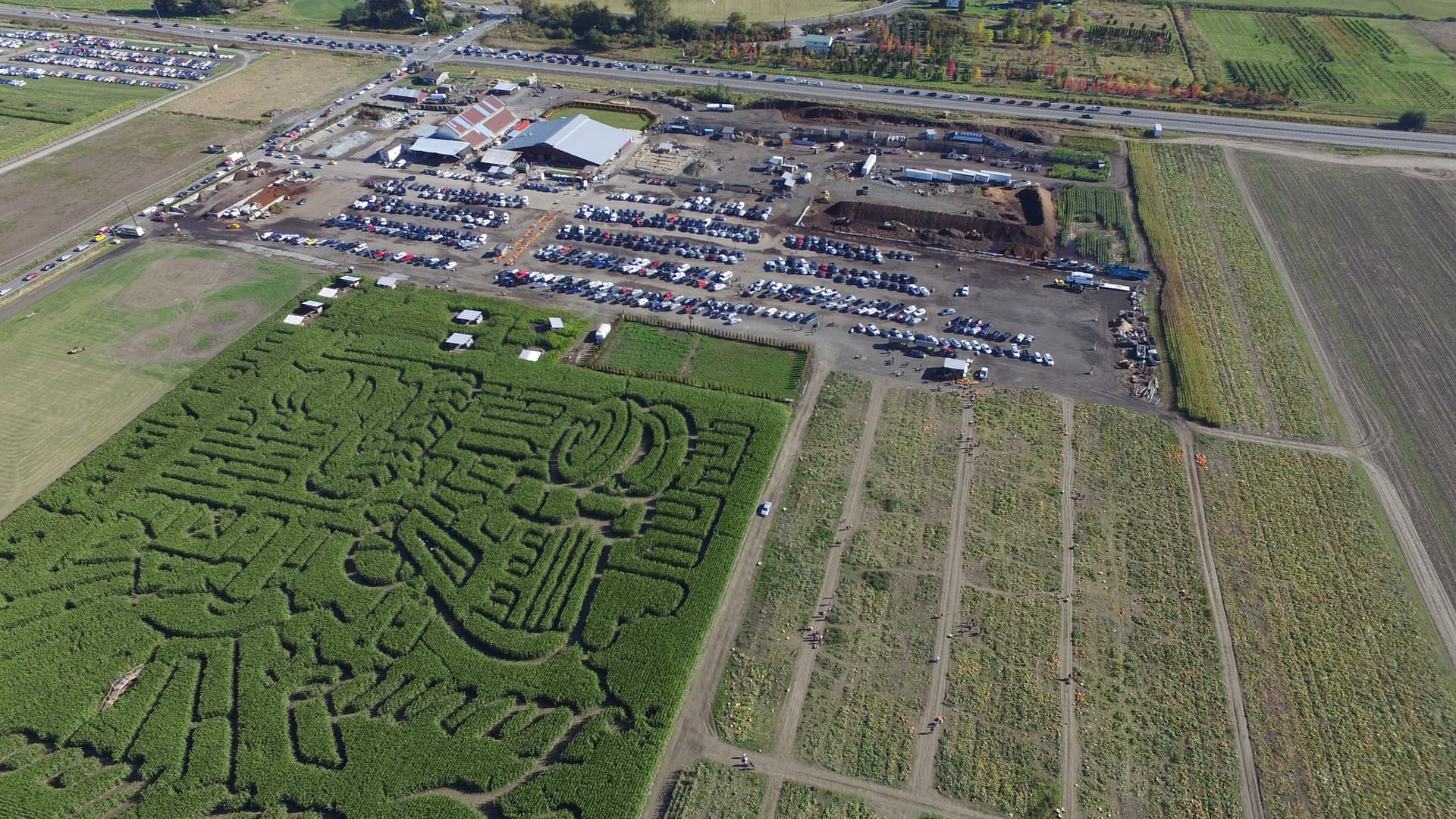 Thomas Family Farm — Pumpkin patches