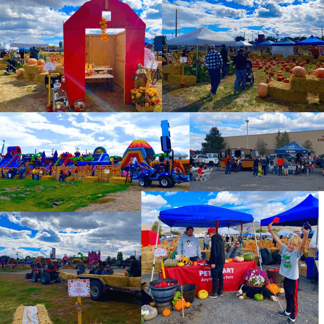 541 Jump's Pumpkin Festival — Pumpkin patches