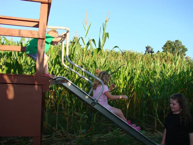 Double R Farms — Pumpkin patches