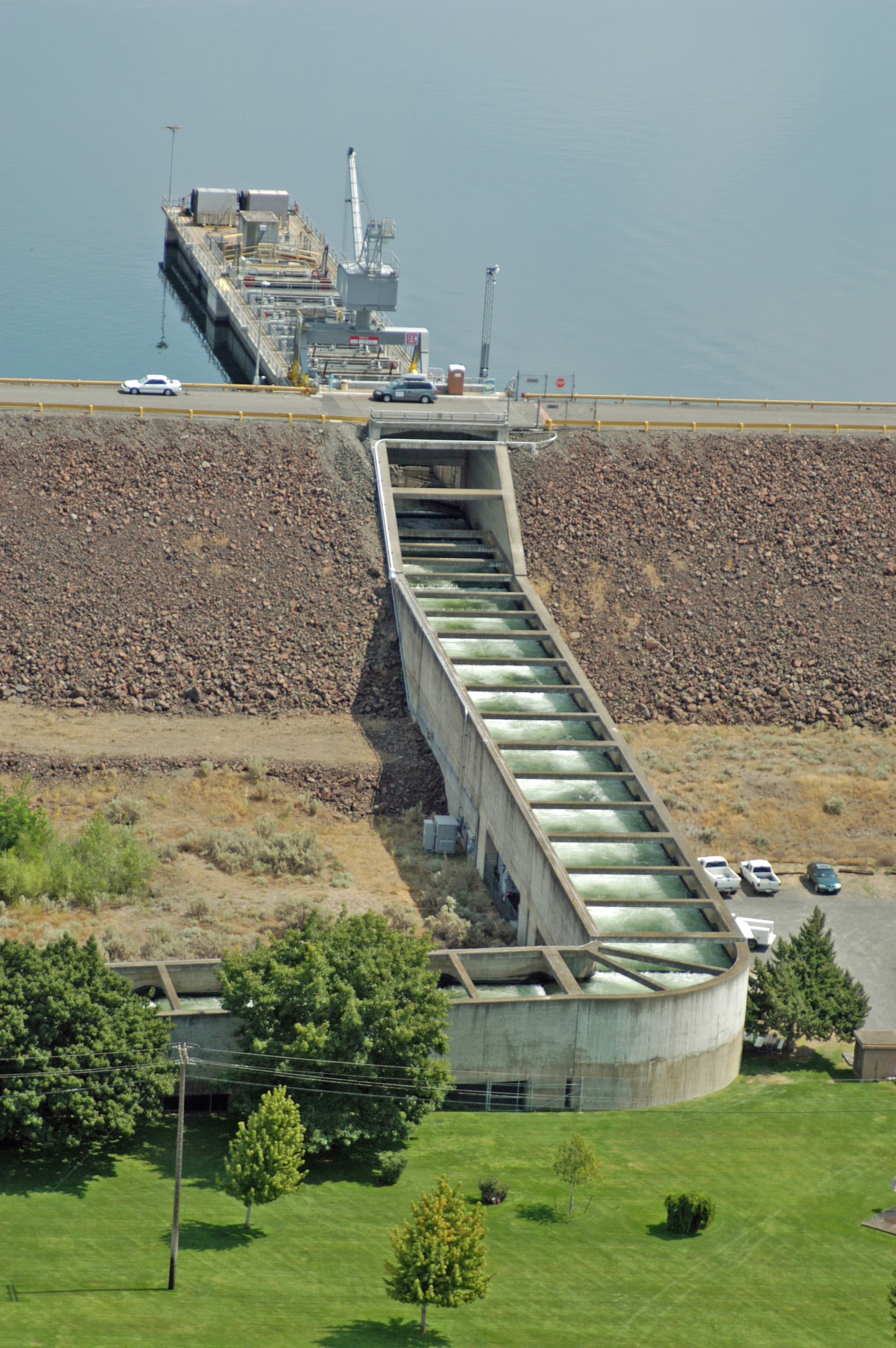 McNary Dam — Salmon Run (photo 3)