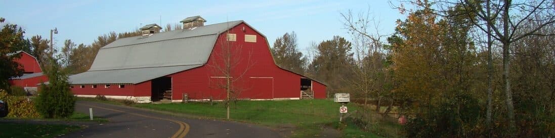 Kenagy Family Farm — Pumpkin patches