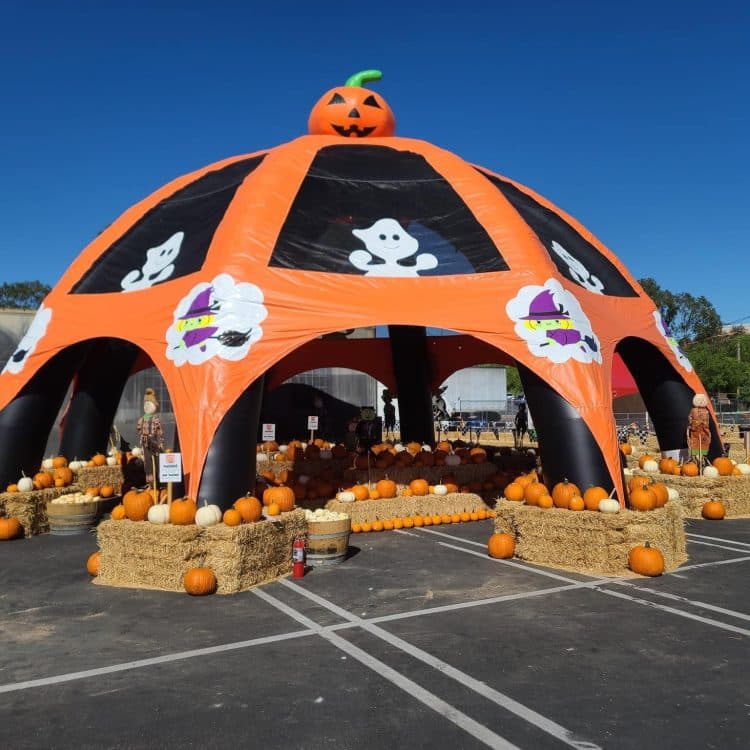 Pumpkinland Temecula — Pumpkin patches