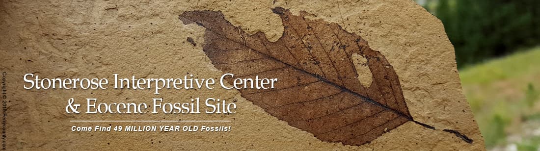 Stonerose Interpretive Center & Eocene Fossil Site — Free museum days