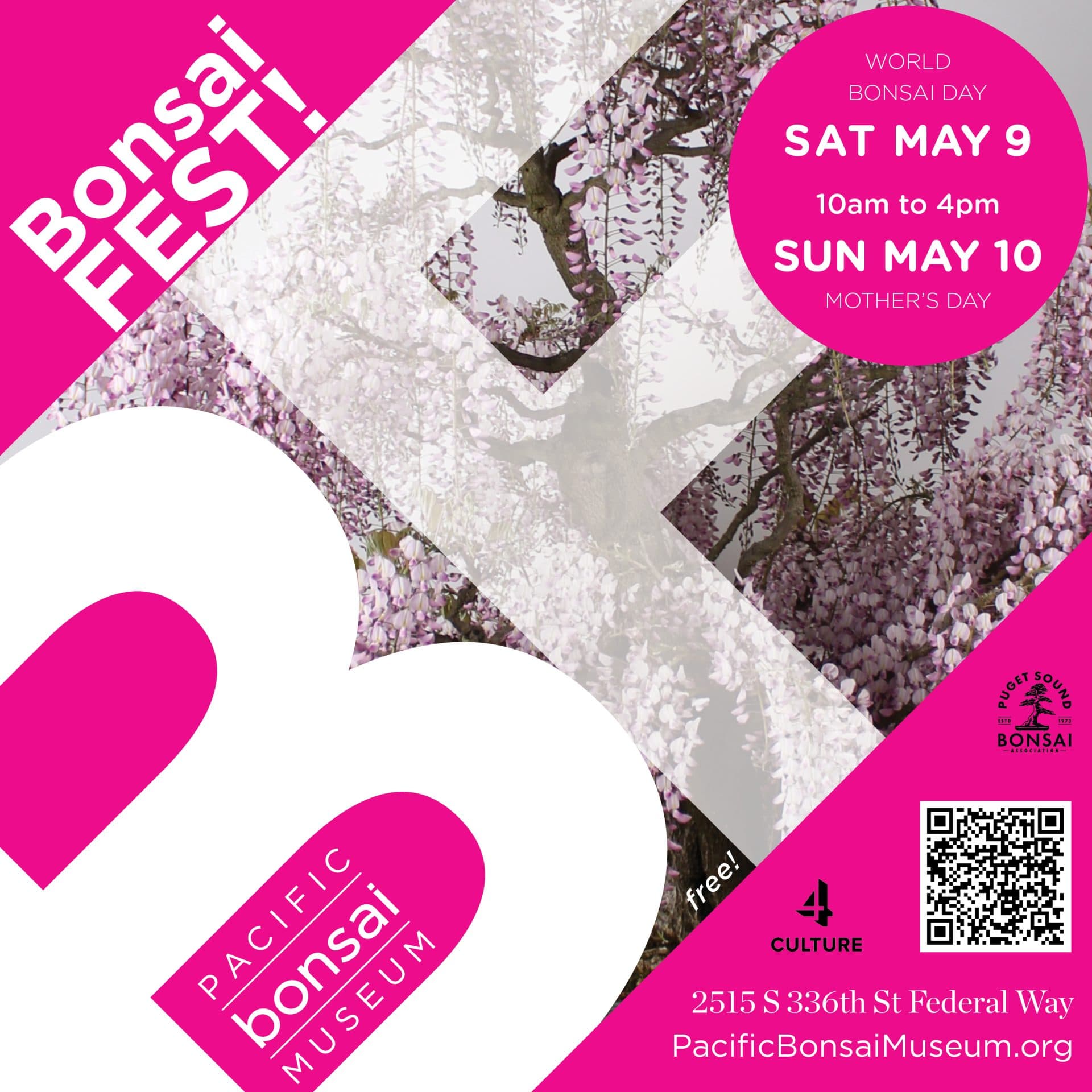 BonsaiFEST! — Festival