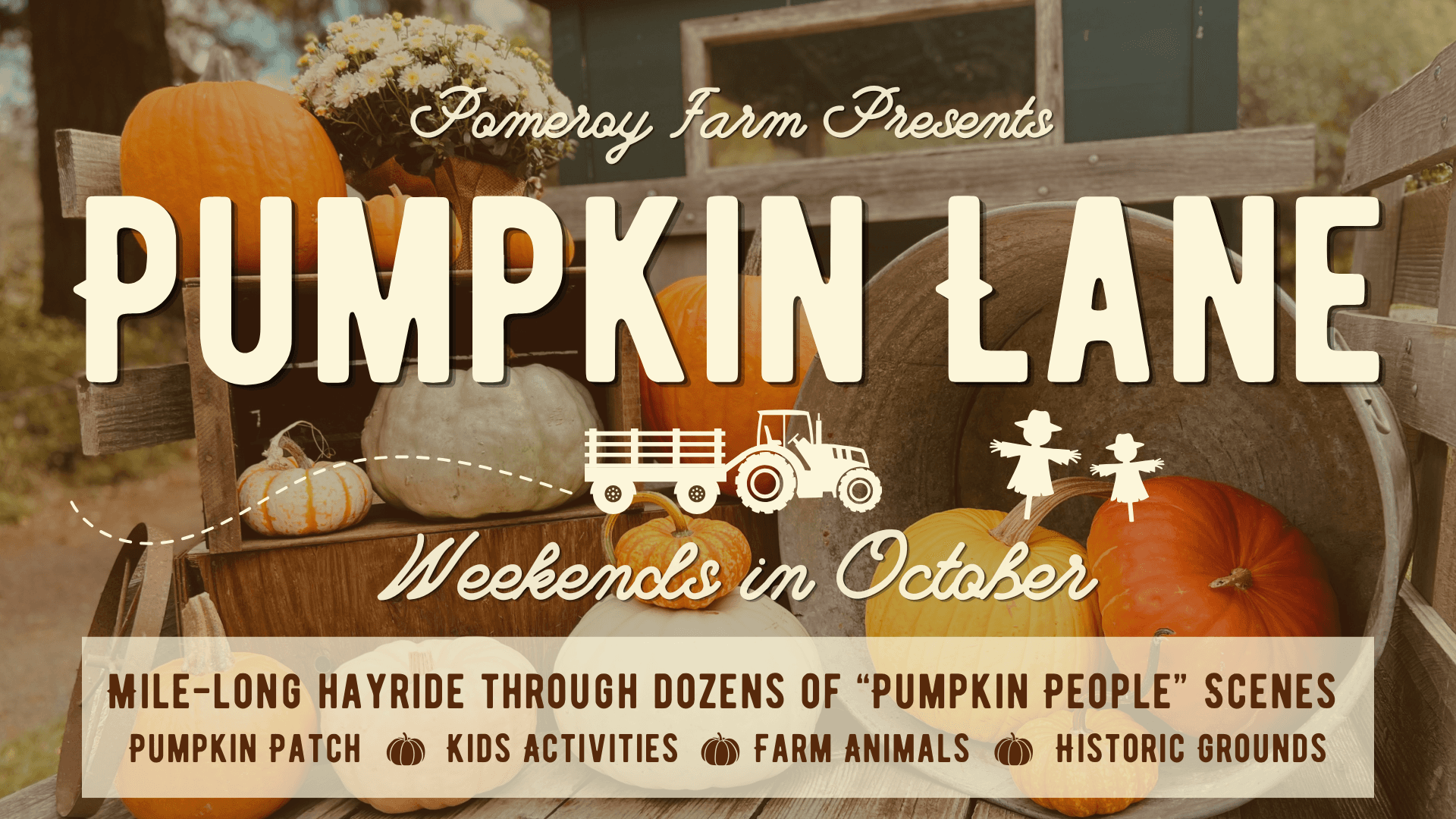 Pomeroy Living History Farm — Pumpkin patches