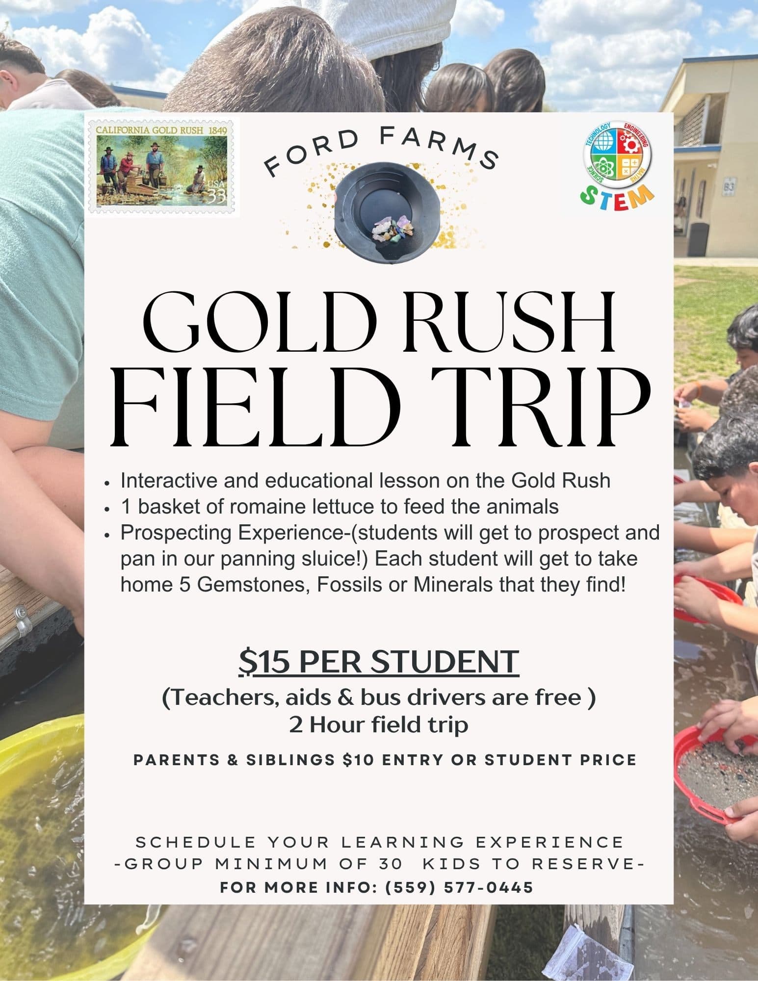 Ford Farms Pumpkin Patch — Pumpkin patches