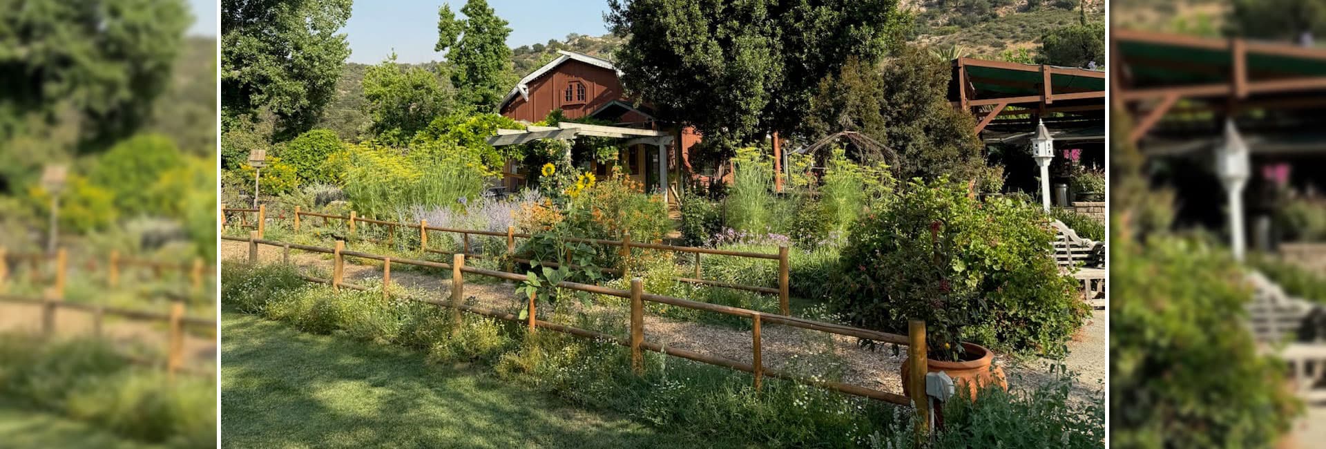 Summers Past Farms Pumpkin Patch — Pumpkin patches