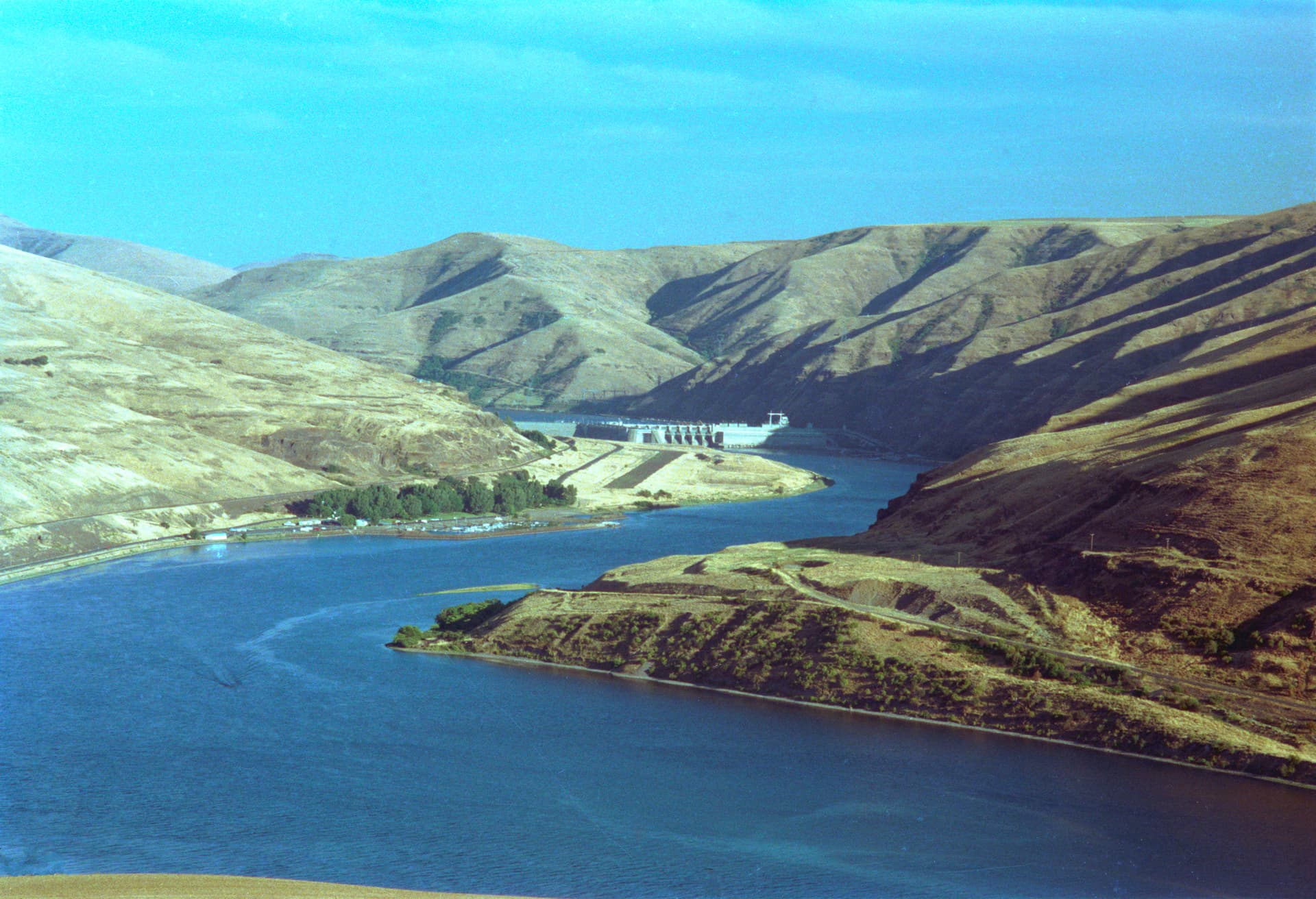 Lower Granite Dam — Salmon Run