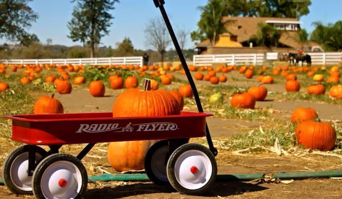 Mountain Valley Ranch Pumpkin Patch — Pumpkin patches
