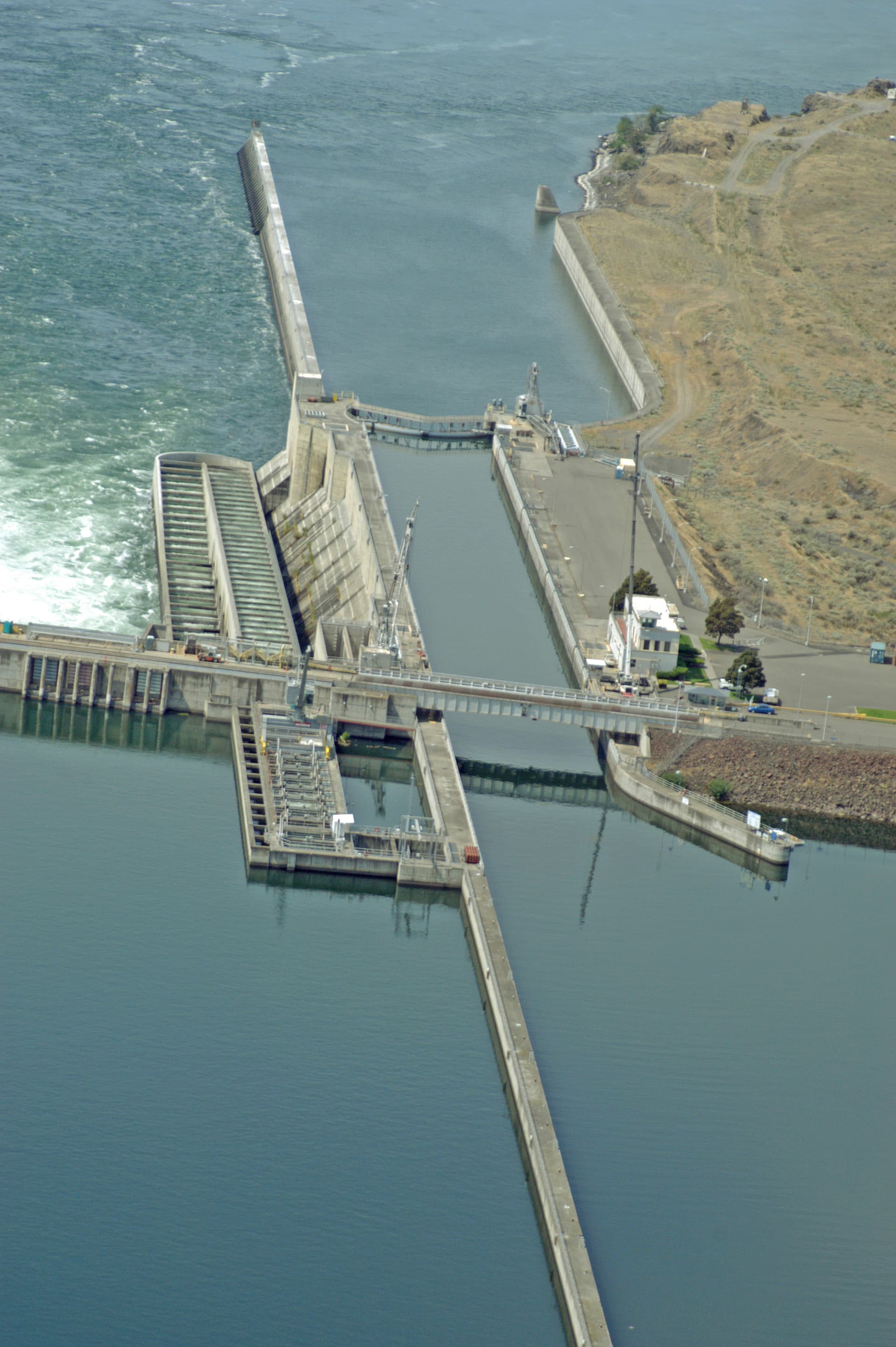 McNary Dam — Salmon Run (photo 2)