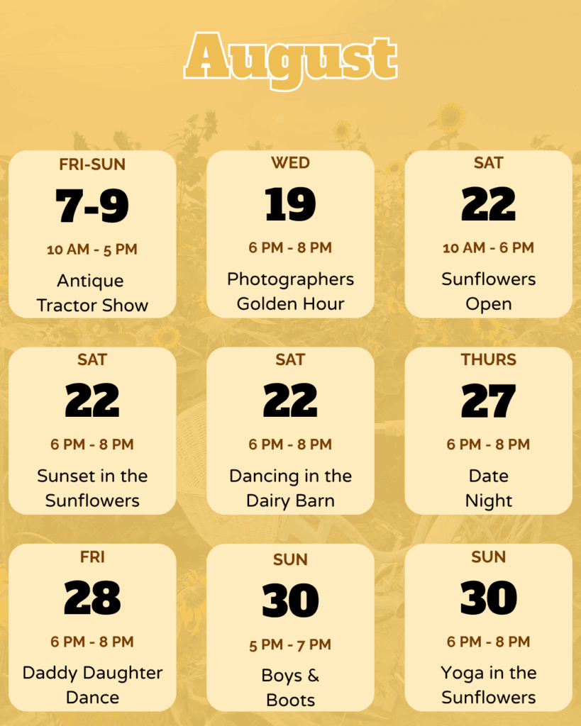 Bob's Corn Fall Festival — Festival