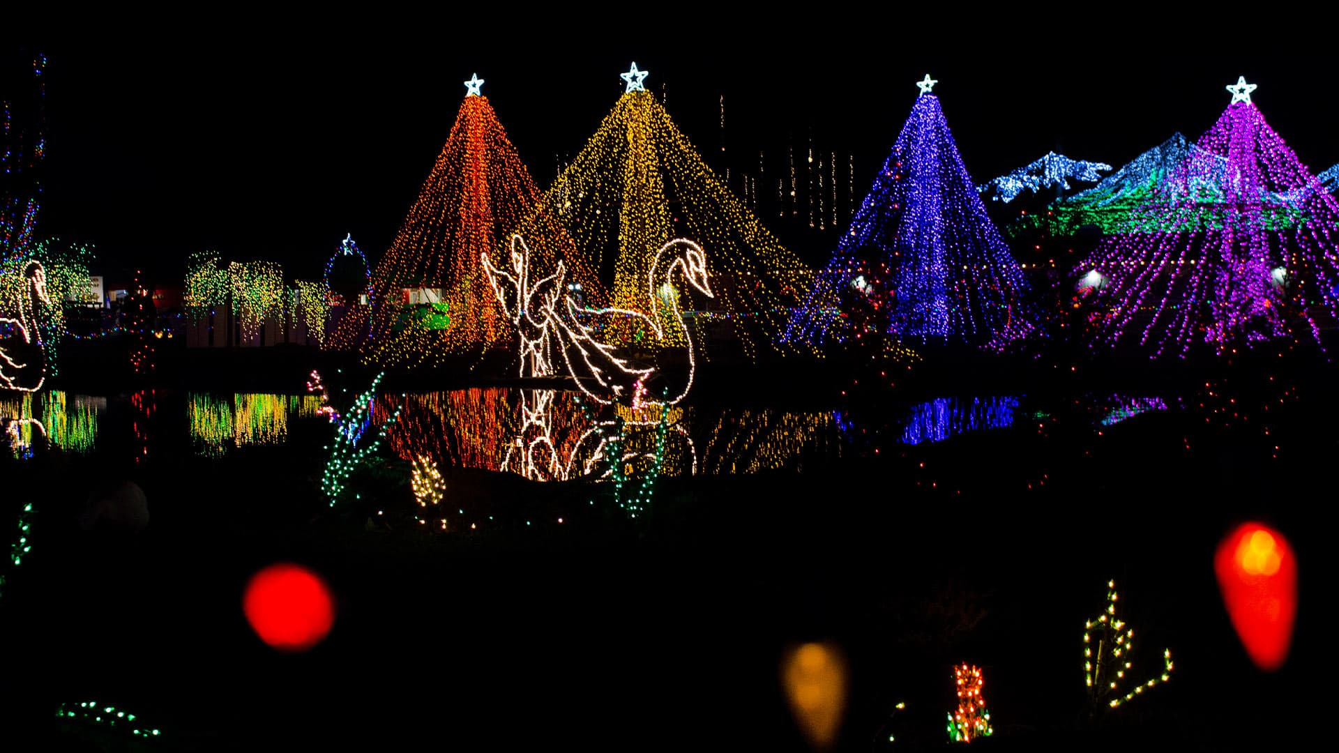 The Lights of Christmas — Festival