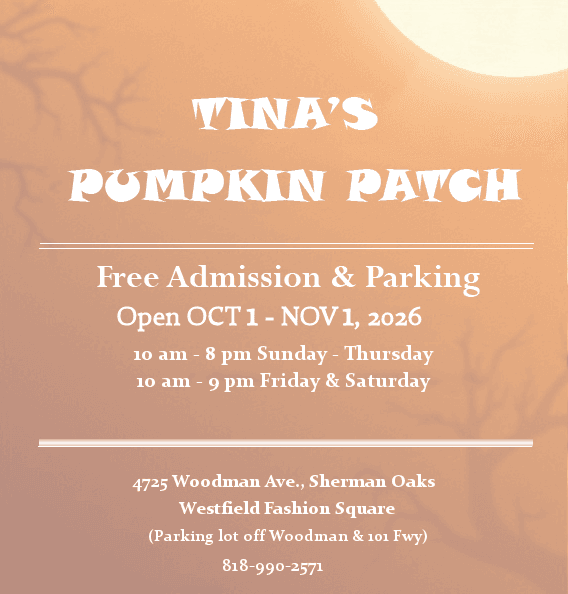 Tina's Pumpkin Patch — Pumpkin patches