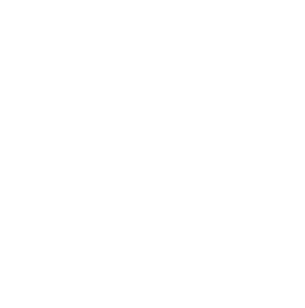 Seattle Greek Festival — Festival