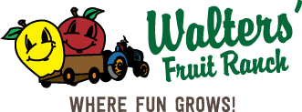 Walter's Fruit Ranch — Pumpkin patches (photo 2)