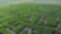 Thomas Family Farm — Pumpkin patches (photo 3)