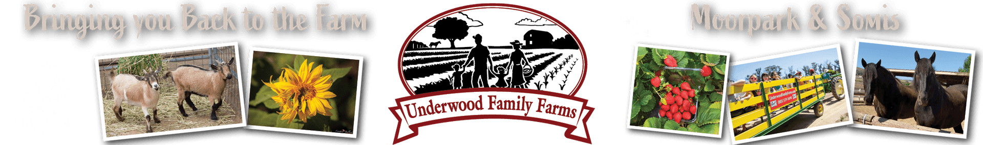 Underwood Family Farms — Fall Harvest Festival — Pumpkin patches