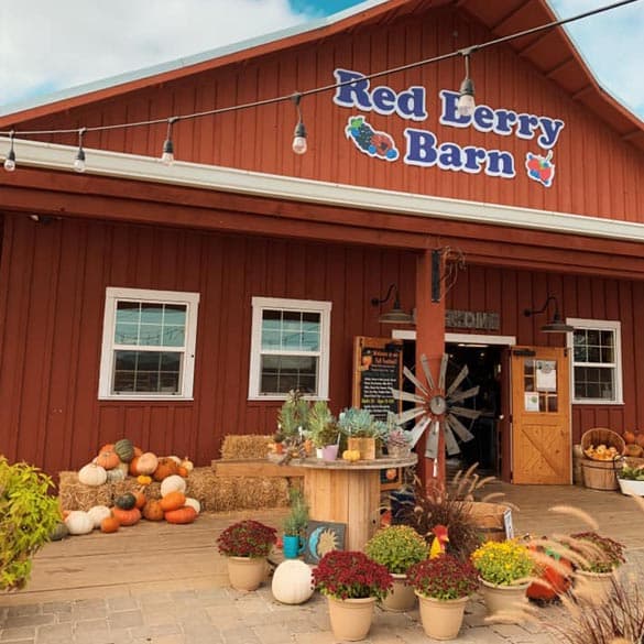 Red Berry Barn — Pumpkin patches