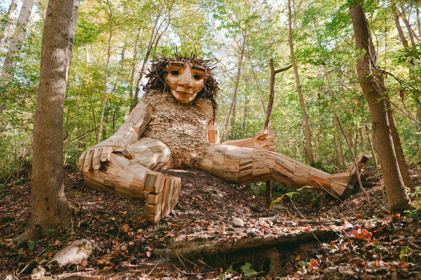 Bo — Trolls
