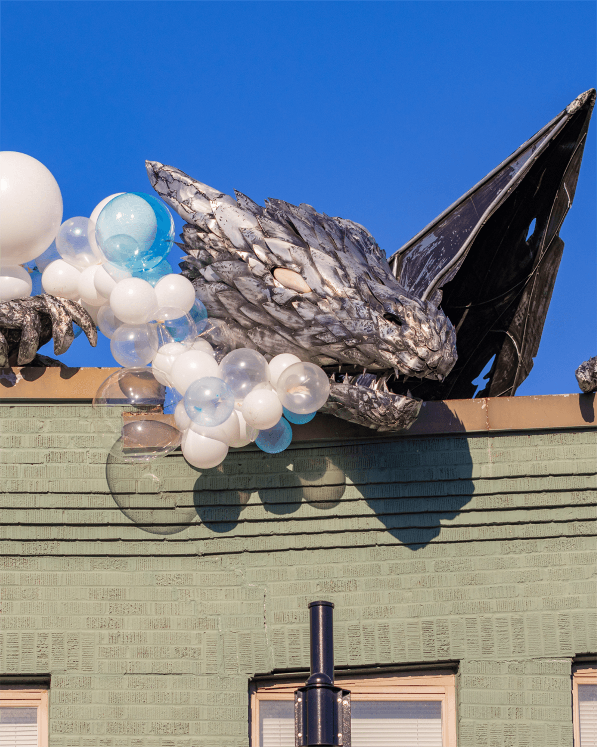Dragon's Landing Celebration — Festival