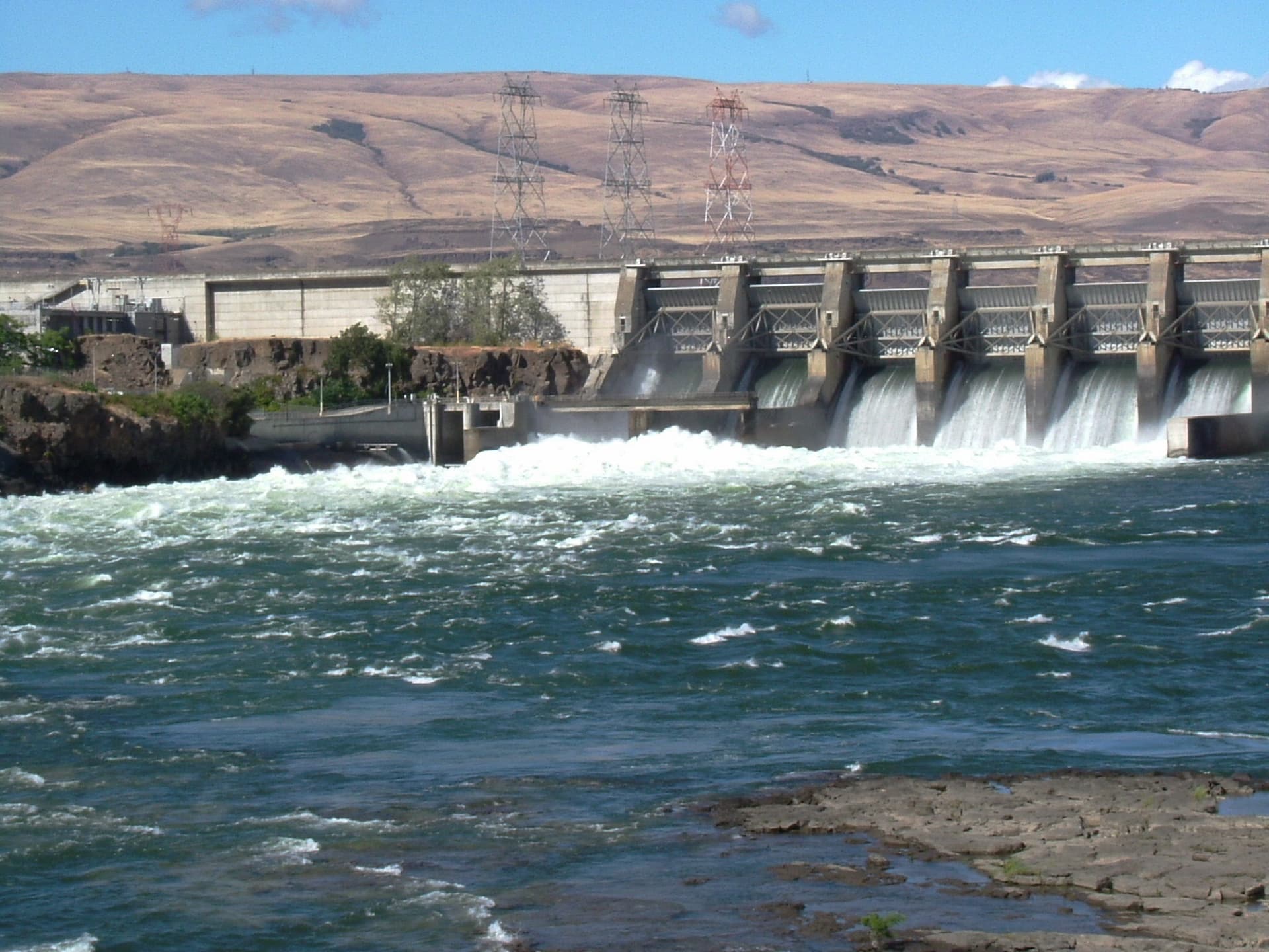 The Dalles Dam — Salmon Run (photo 3)