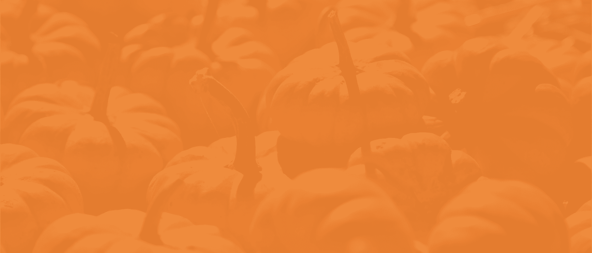Nash Ranch Pumpkin Patch — Pumpkin patches
