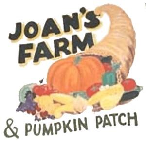 Joan's Farm & Pumpkin Patch — Pumpkin patches