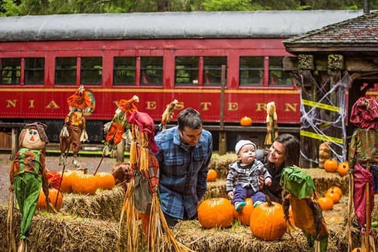 Skunk Train Pumpkin Express (pumpkin patch at Crowley/Northspur) — Pumpkin patches