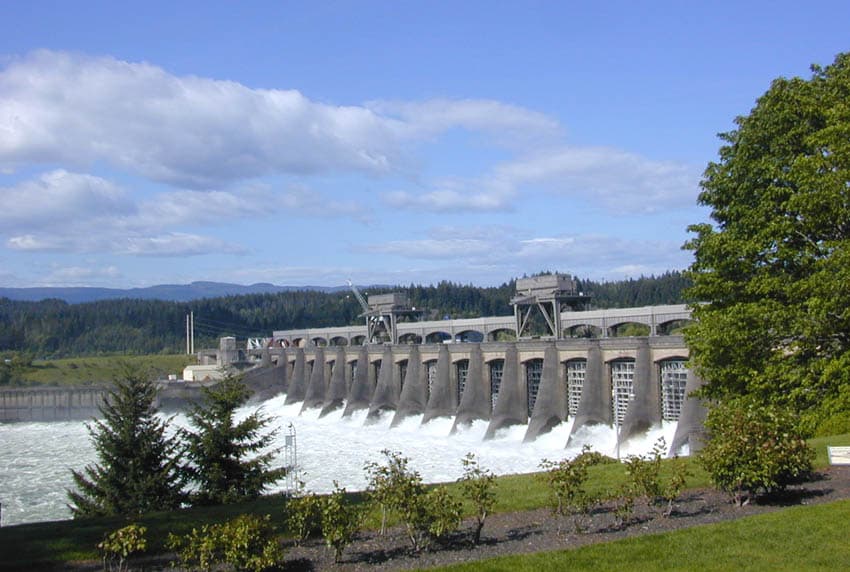 Priest Rapids Dam — Salmon Run (photo 3)