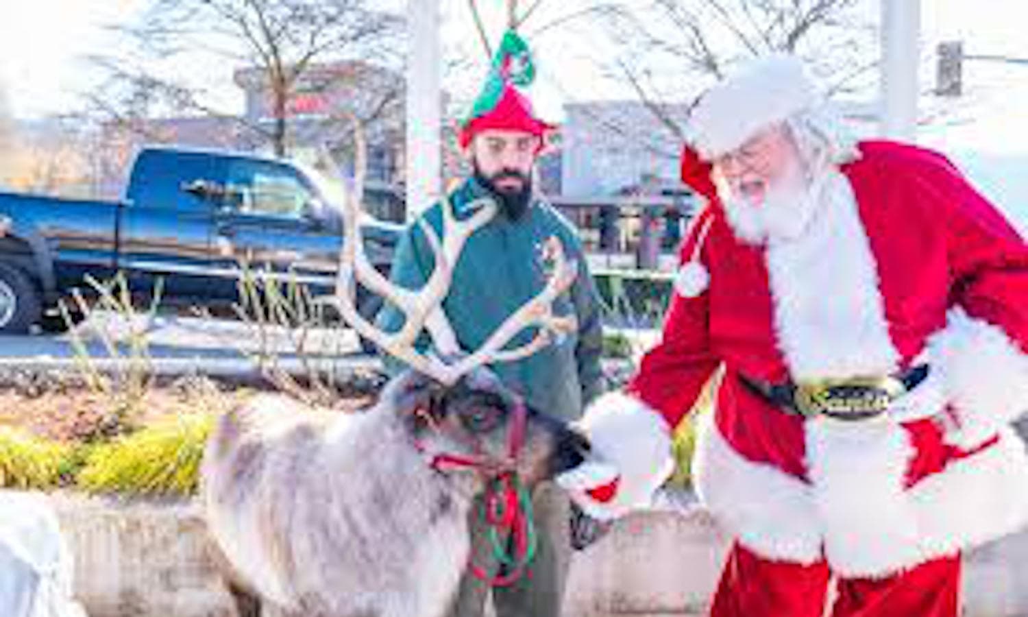 Issaquah Reindeer Festival — Festival